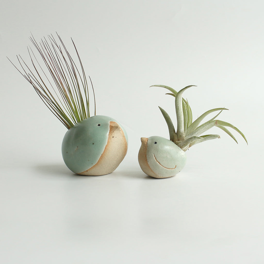 Large and small green birds with air plant 'feather' tails