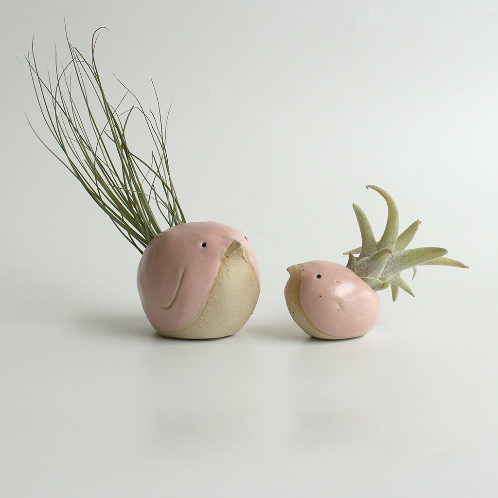 Large and small pink birds with air plant 'feather' tails