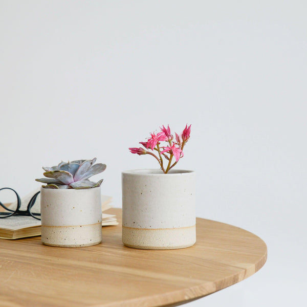 Small and medium white Plant Pots on table