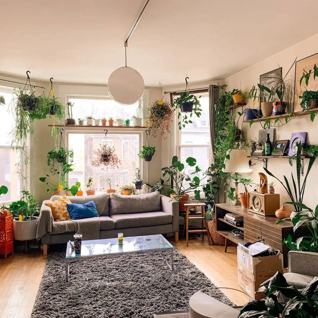 5 Reasons You Should Invest in Handmade Ceramics