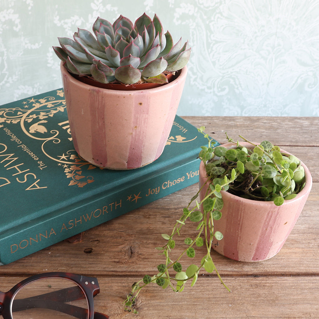Pink Stripe Handmade Stoneware Plant Pot Set