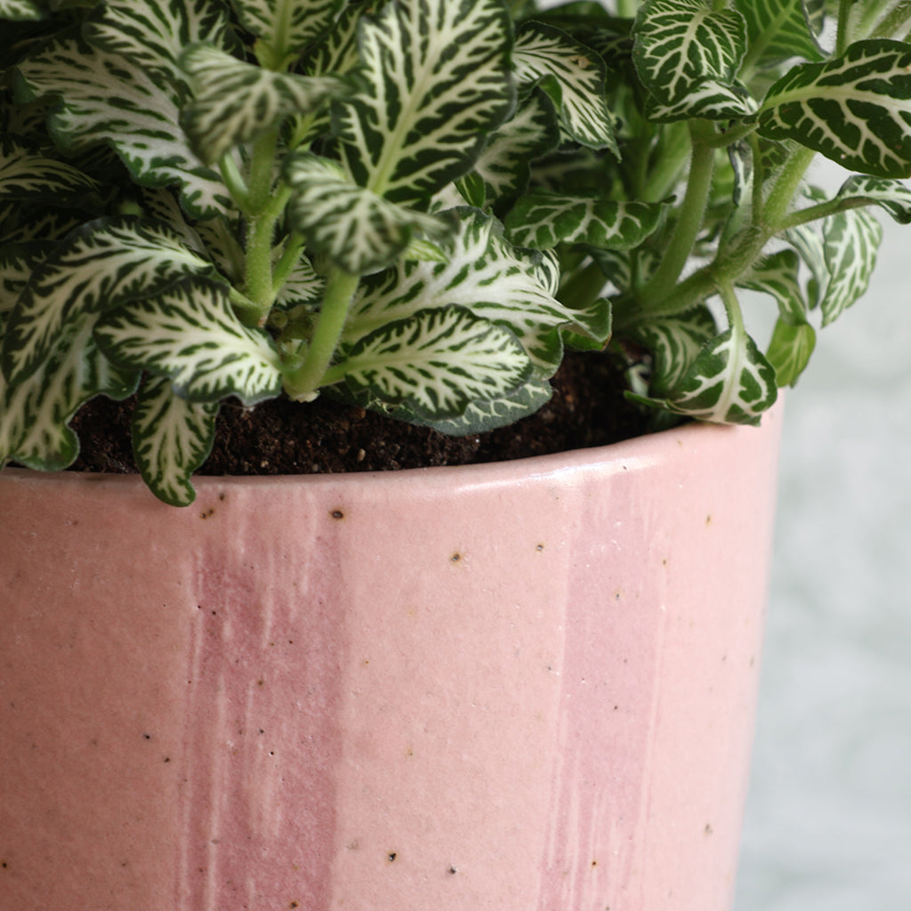 Pink Stripe Handmade Stoneware Medium Plant Pot
