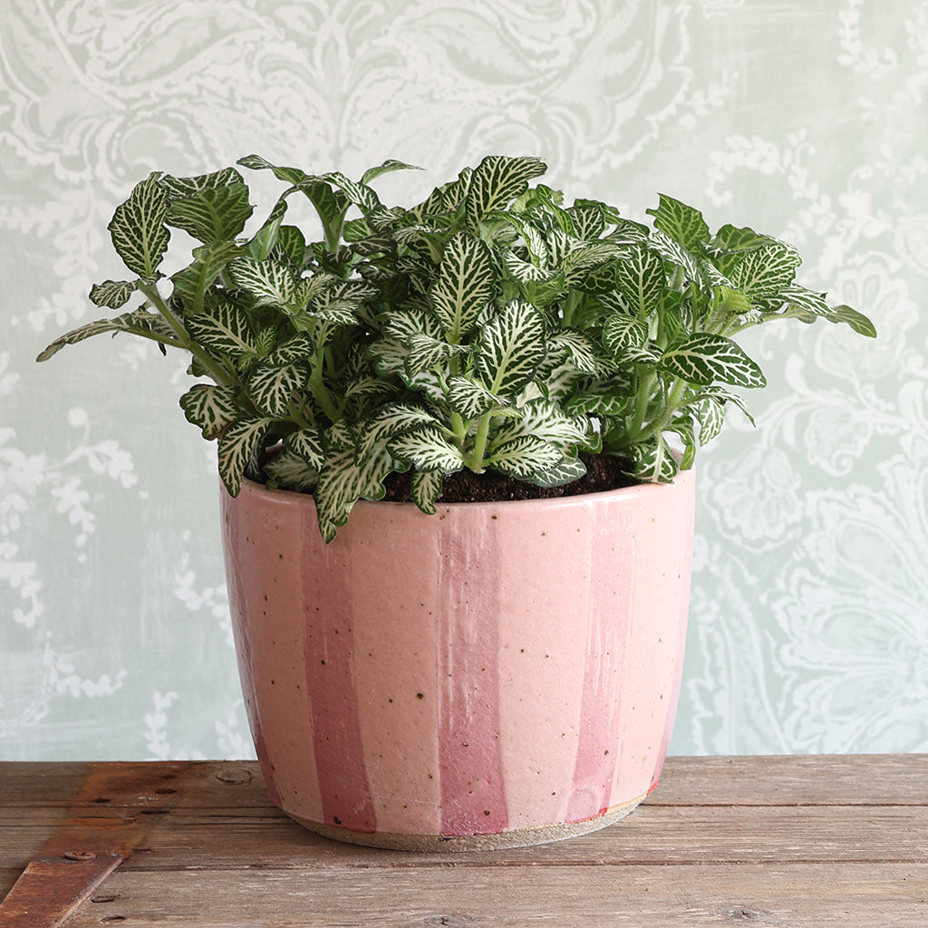Pink Stripe Handmade Stoneware Plant Pot Set