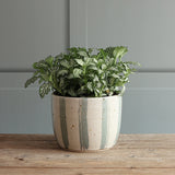 White and Blue Stripe Handmade Stoneware Plant Pot Set