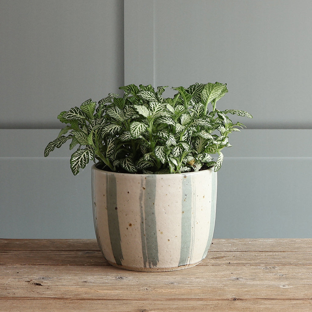 White and Blue Stripe Handmade Stoneware Plant Pot Set