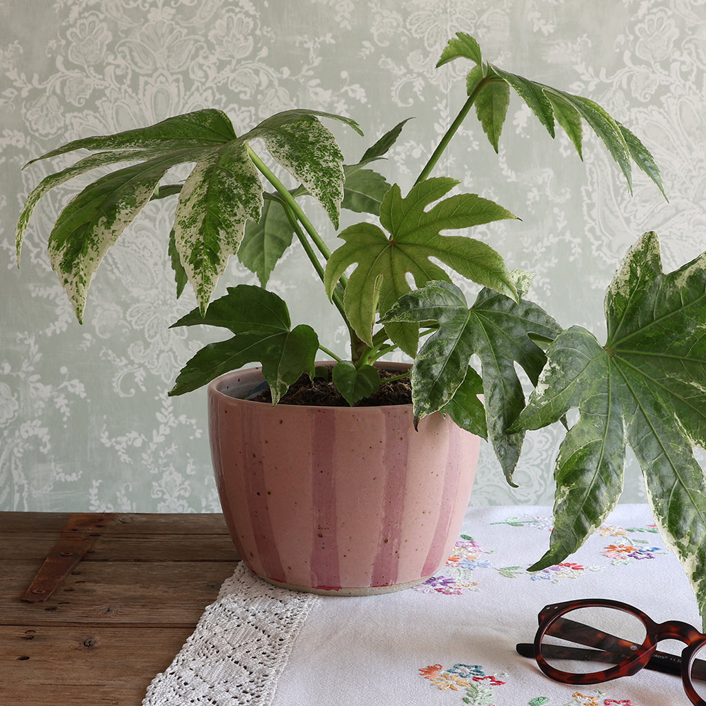Pink Stripe Handmade Stoneware Large Plant Pot