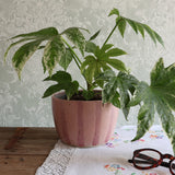 Pink Stripe Handmade Stoneware Large Plant Pot