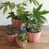 Pink Stripe Handmade Stoneware Large Plant Pot