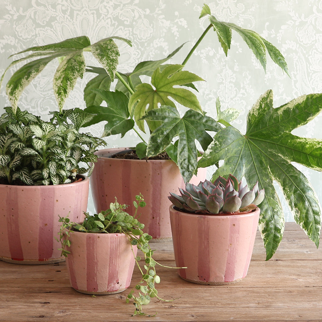 Pink Stripe Handmade Stoneware Large Plant Pot