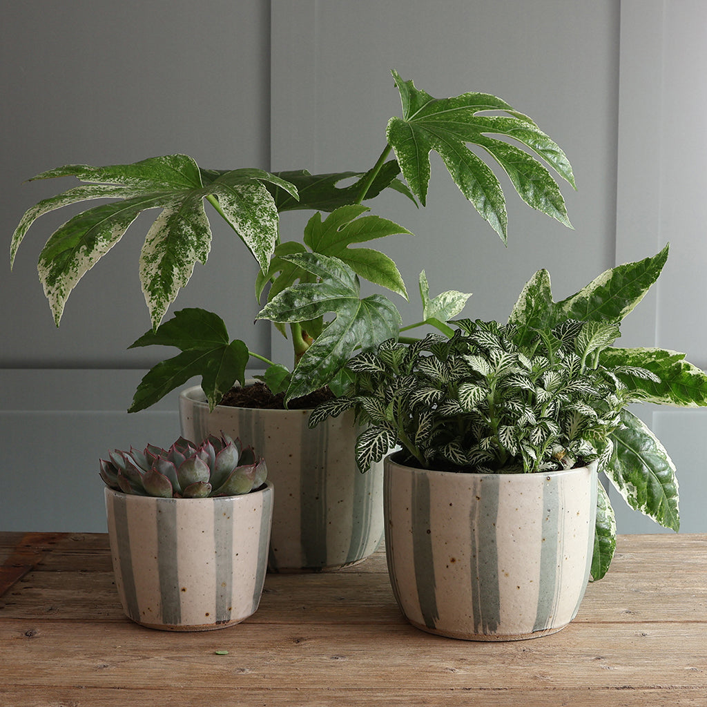 White and Blue Stripe Handmade Stoneware Large Plant Pot