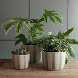 White and Blue Stripe Handmade Stoneware Large Plant Pot