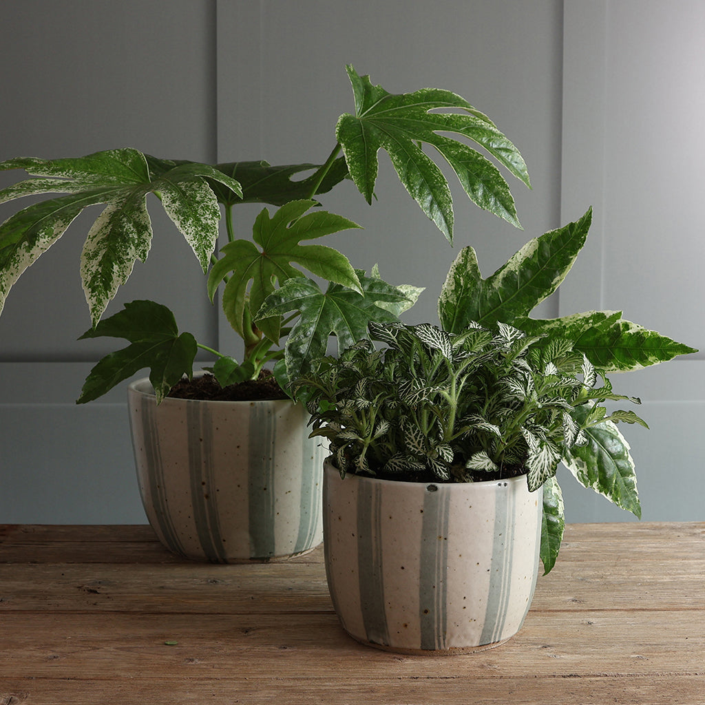 White and Blue Stripe Handmade Stoneware Large Plant Pot