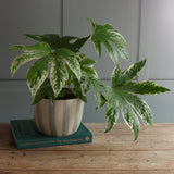 White and Blue Stripe Handmade Stoneware Large Plant Pot