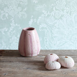 A pink ceramic vase with vertical pink stripes sits on a rustic wooden table next to a collection of three sea urchin shells. 