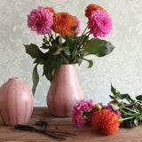 A handmade pink stripey ceramic vase filled with bright pink and orange dahlias sits on a rustic wooden table, alongside a matching pink vase, scissors, and additional flowers. 