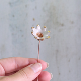 Small white flower with gold accents held by a hand against a neutral background
