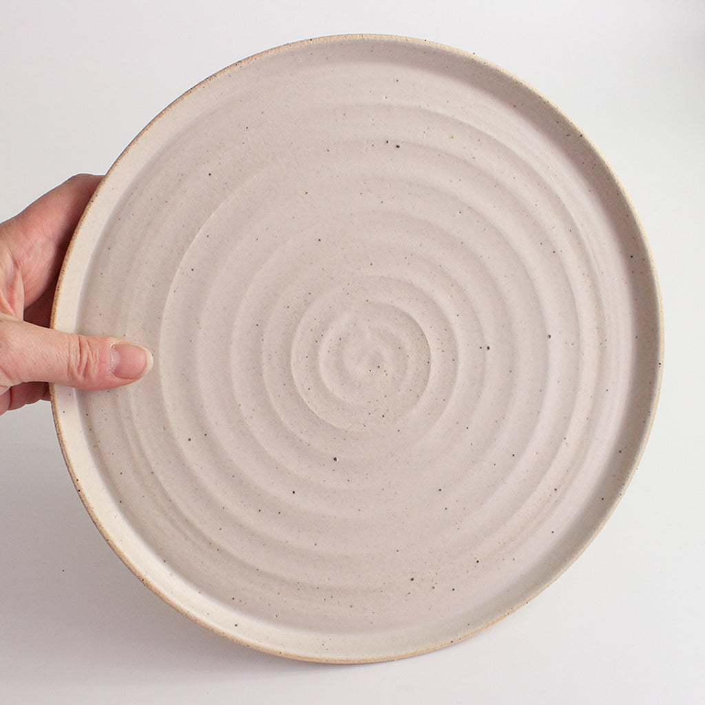 White dinner plate being held up for side reference
