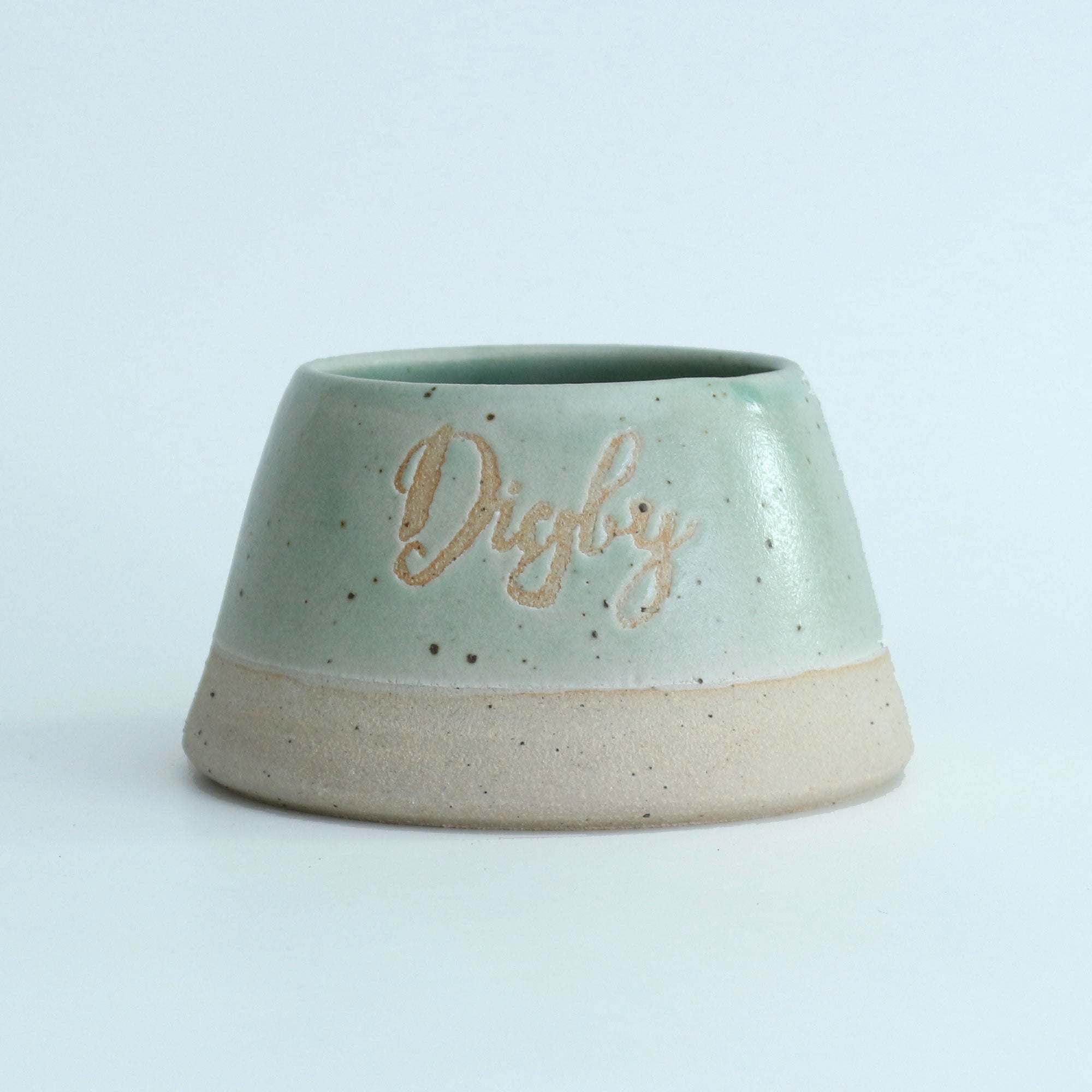 'Digby' Mint Green personalised dog bowl