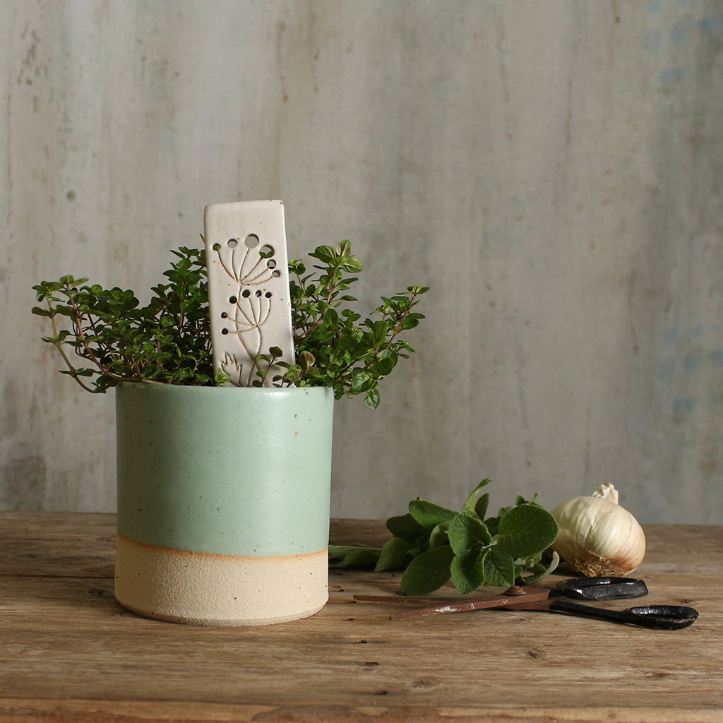 Plant marker in plant pot next to herbs and scissors on table