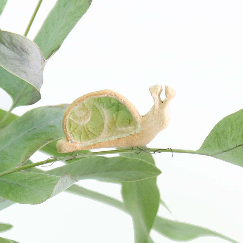 snail in house plant Plant Gift | Snail House Plant Decoration