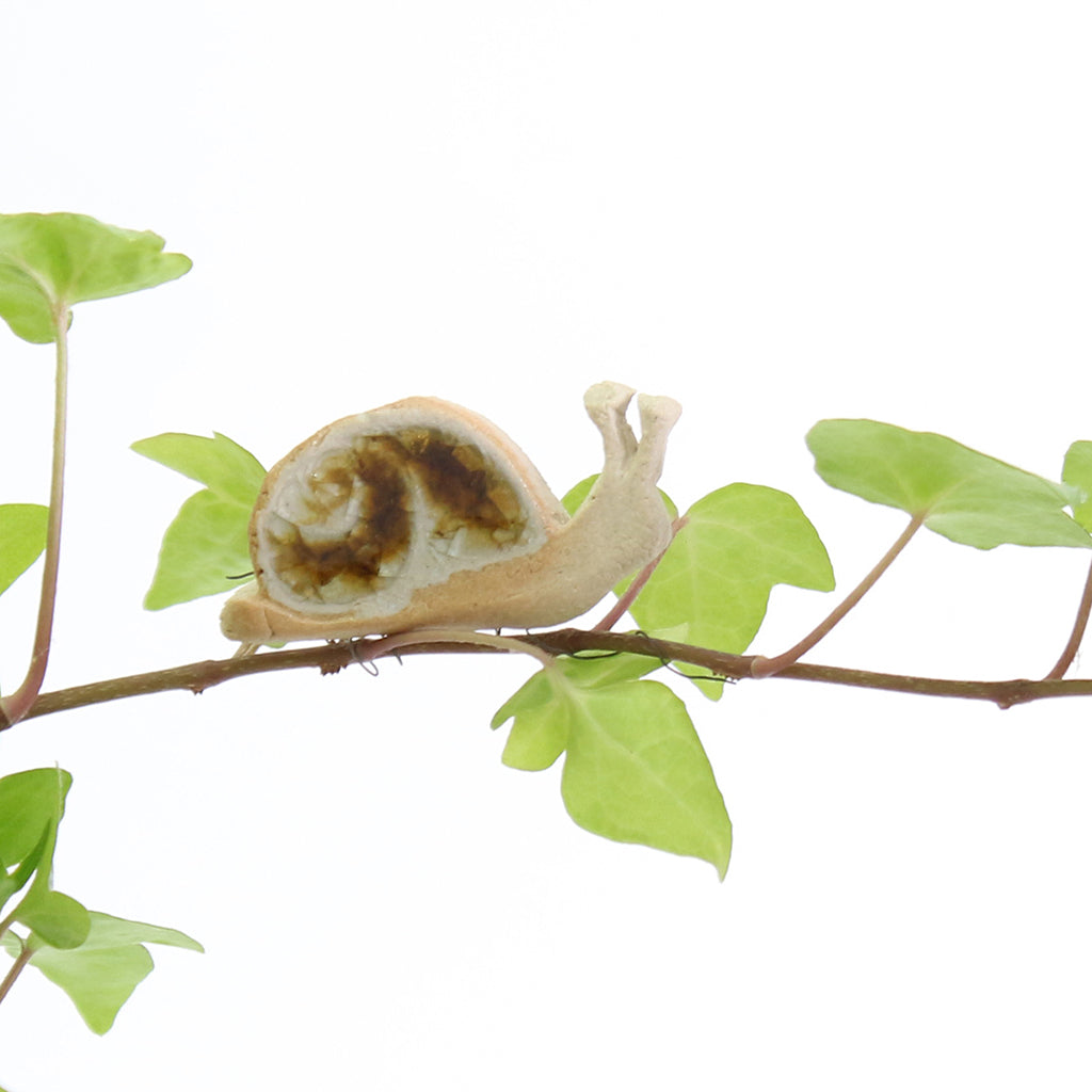 snail in house plant Plant Decor | Houseplant Decoration
