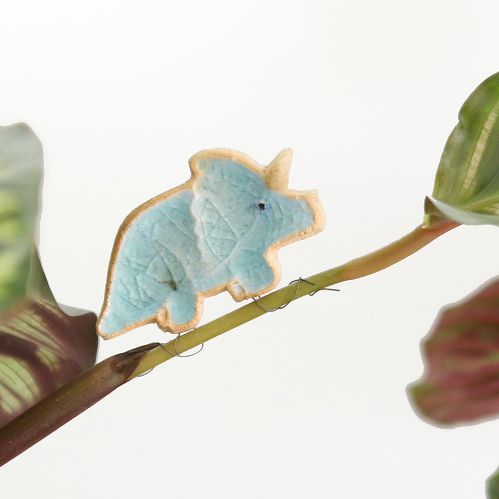 Décorations « Dinosaures qui enlacent des plantes »