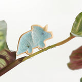 Décorations « Dinosaures qui enlacent des plantes »