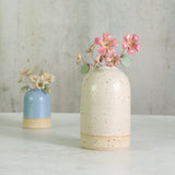 Two ceramic vases with flowers against a neutral background