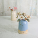 Two ceramic vases with flowers on a light background