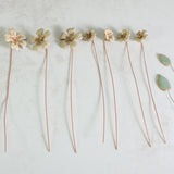 Ceramic primrose flowers on copper wire layed flat  on a light gray background