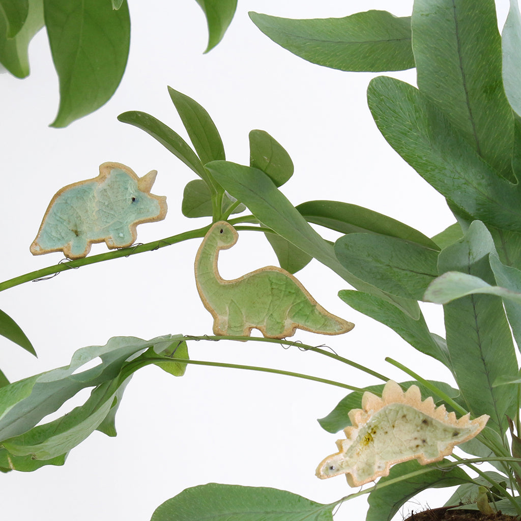 Décorations « Dinosaures qui enlacent des plantes »