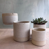 Seconds Planter Set (worth £73.50) Off-White