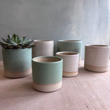 Seconds Plant Pots - Set of 6 (worth £82) Various Colours and Sizes