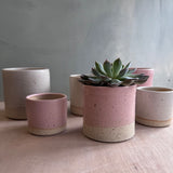 Seconds Plant Pots - Set of 6 (worth £82) Various Colours and Sizes