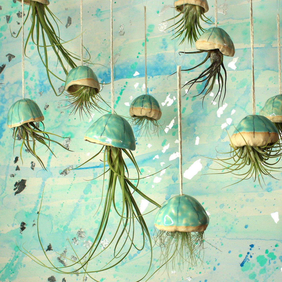 jellyfish plant pot Jellyfish Air Plants | Indoor Plant Holder