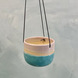Second Hanging Planter Shoreline