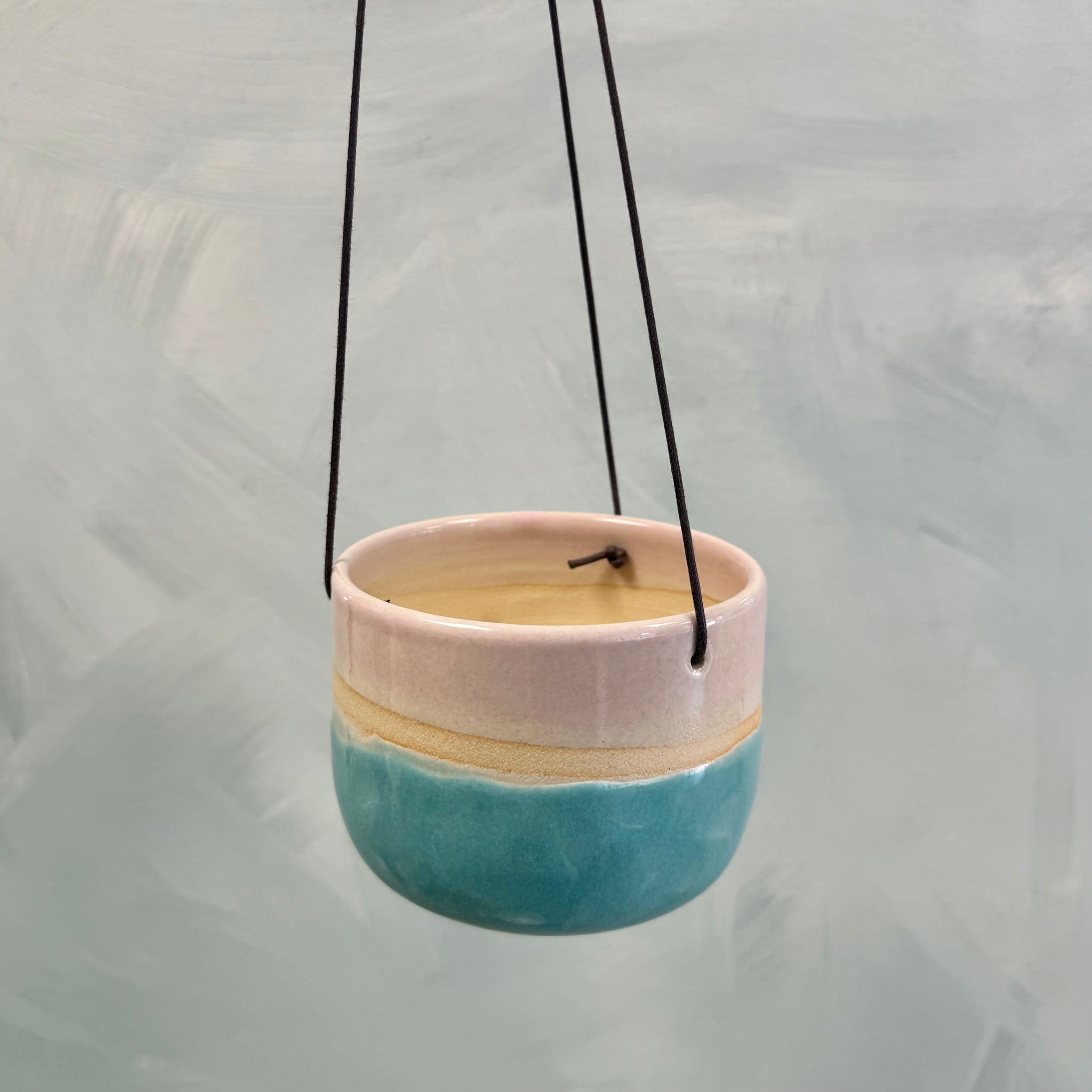 Second Hanging Planter Shoreline