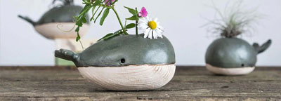 Habulous Whale Air Plants