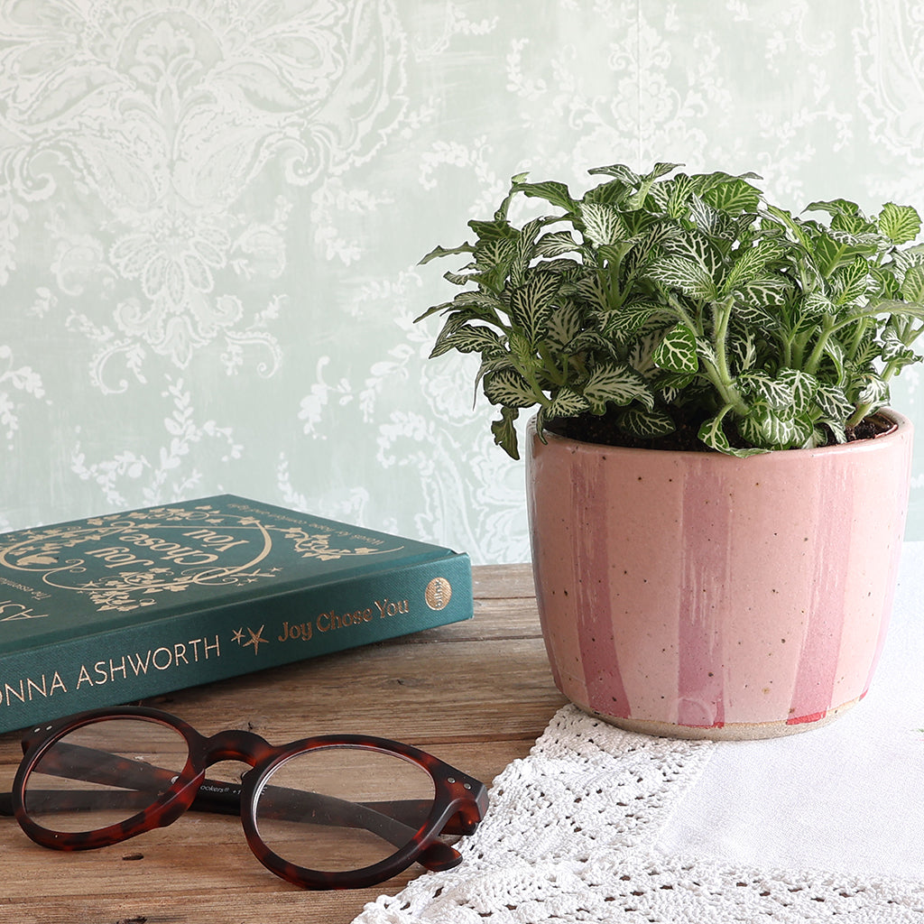 A stripy pink speckled ceramic planter holding a green leafy houseplant, styled on a wooden surface next to a teal book and tortoiseshell eyeglasses against a pale patterned wallpaper background.