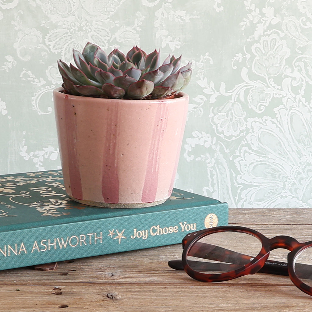 A small handmade pink stripe ceramic planter holding a succulent, styled on top of a teal book with tortoiseshell eyeglasses nearby, against a pale patterned wallpaper background.