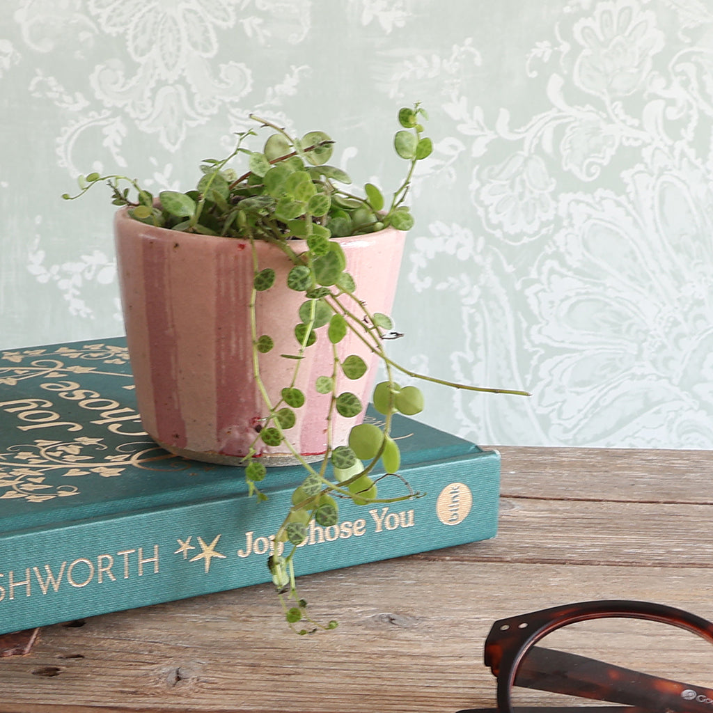 A pink striped ceramic planter containing a trailing green plant, styled on top of a teal book with gold lettering, set on a rustic wooden table with a pair of tortoiseshell glasses in the foreground and a pale patterned wallpaper in the background.
