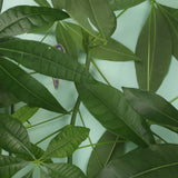 Décorations « Dinosaures qui enlacent des plantes »