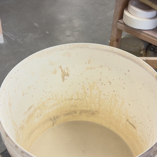Video showing the process of glazing our birth flower mugs