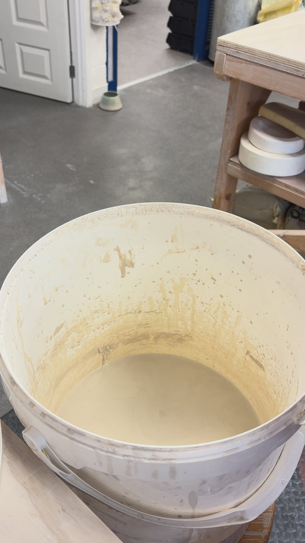 Video showing the process of glazing our birth flower mugs