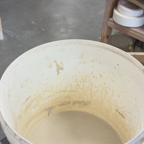 Video showing the process of glazing our birth flower mugs
