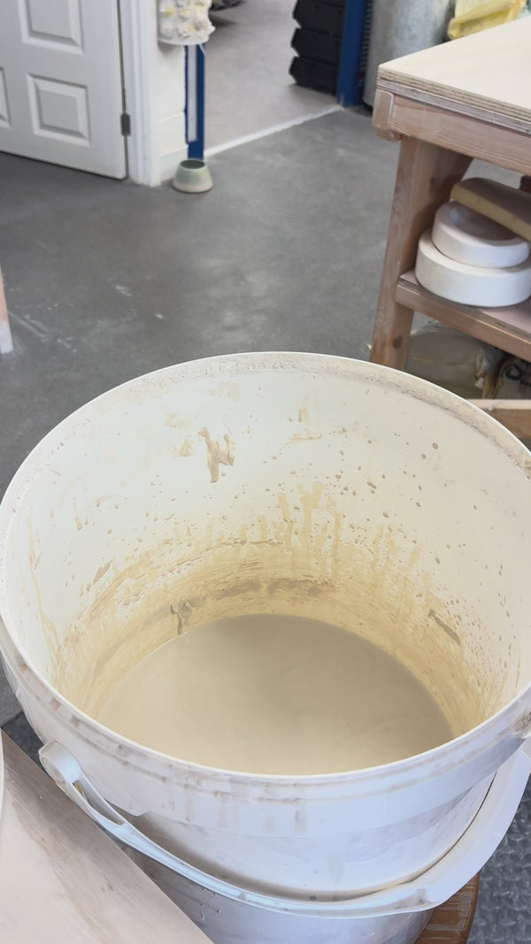 Video showing the process of glazing our birth flower mugs