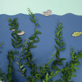 Décoration William la Baleine Amie des Plantes