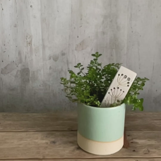 Video showing how to use the marker as a herb stripper