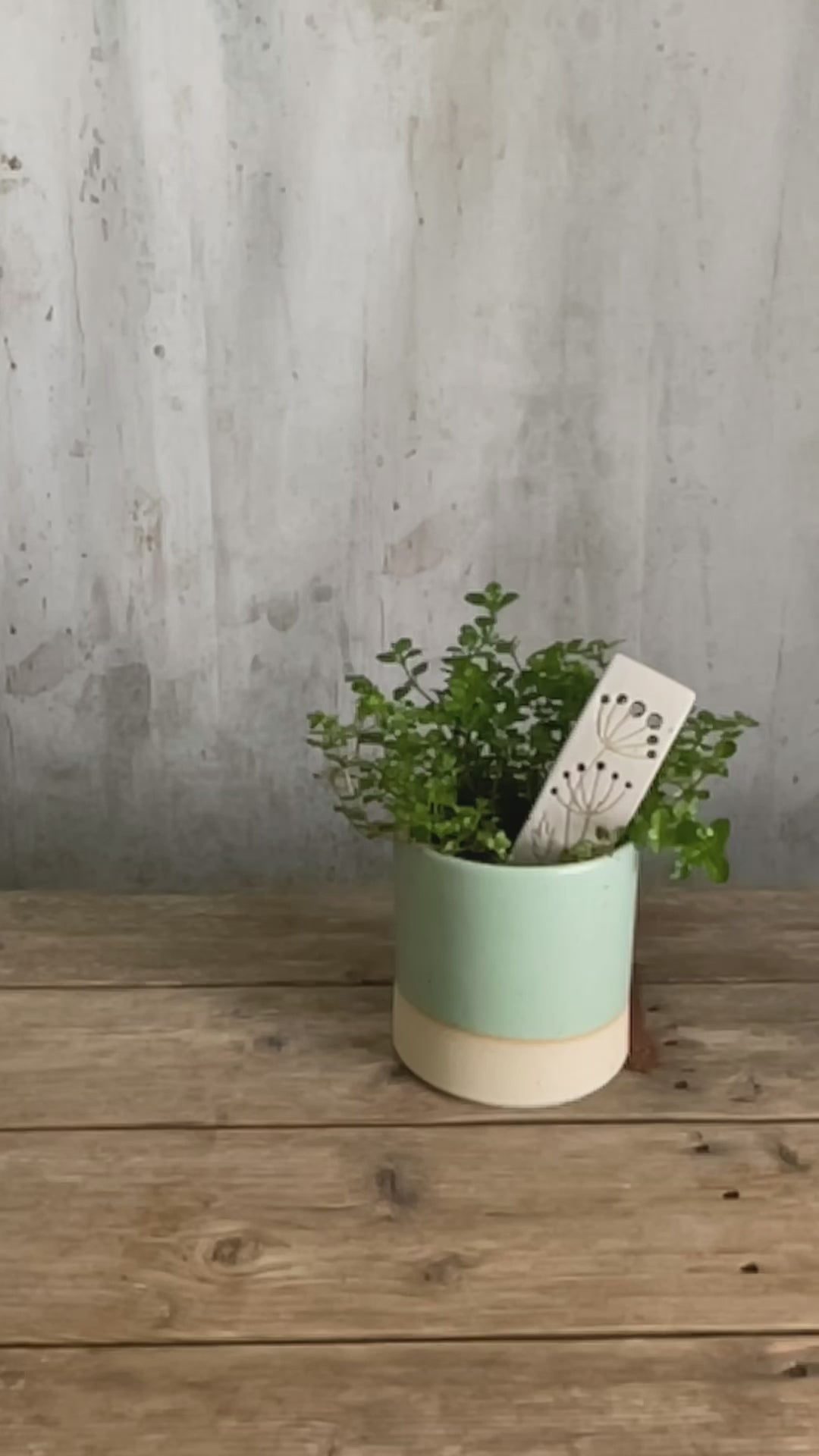 Video showing how to use the marker as a herb stripper