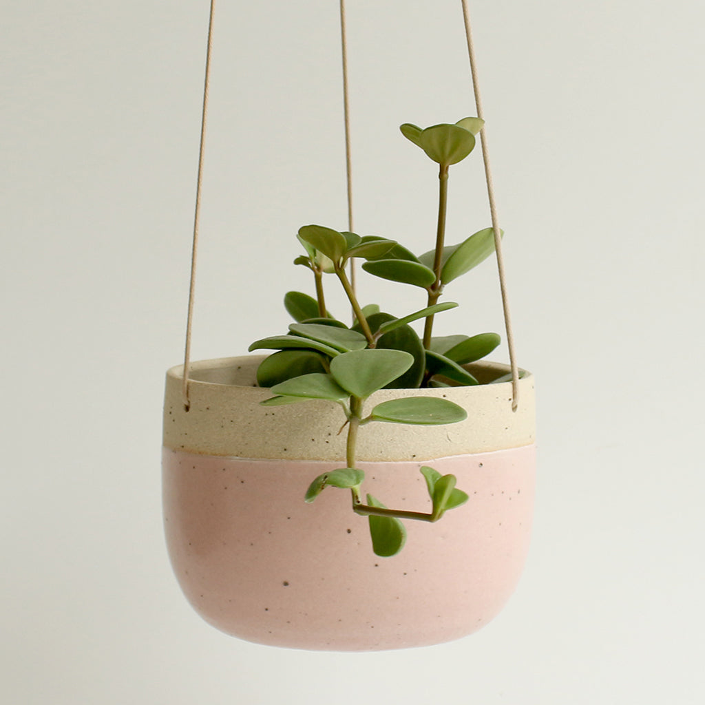 pink hanging planter Pink Hanging Planter | Hanging Plant Pot
